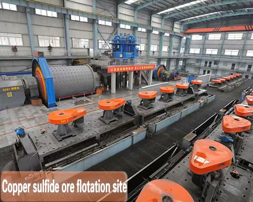 Copper sulfide ore flotation site